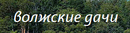 developerAvatar.jpg